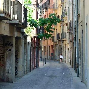 Housing Ginesta 9 Espanha